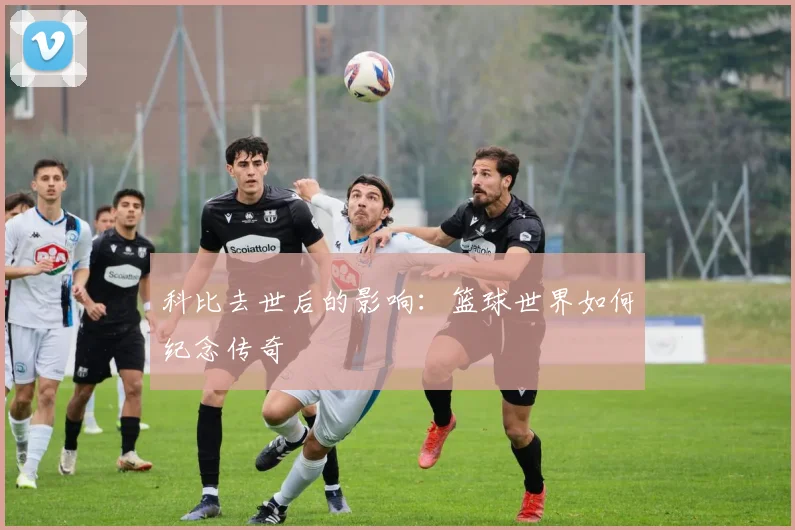 科比去世后的影响：篮球世界如何纪念传奇
