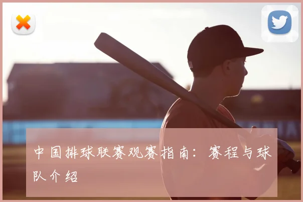中国排球联赛观赛指南:赛程与球队介绍