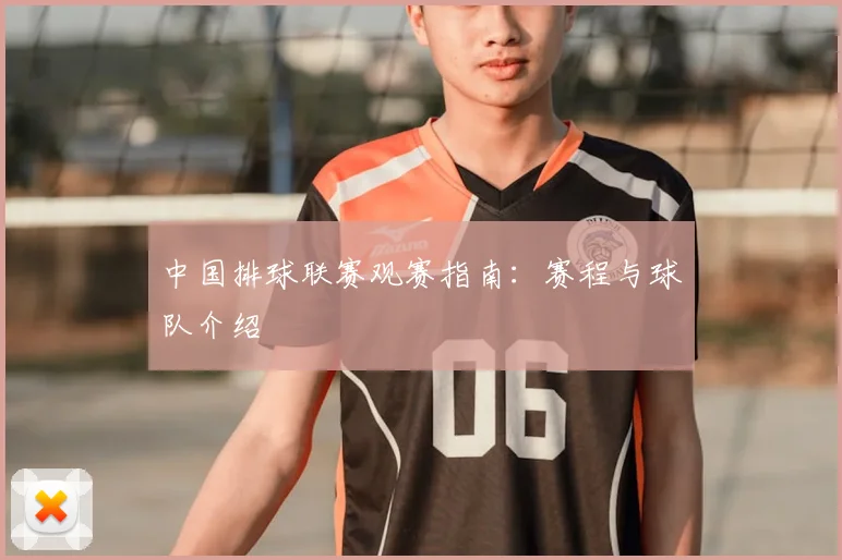 中国排球联赛观赛指南:赛程与球队介绍